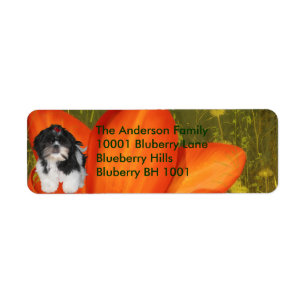 Etikett Returadress Shih Tzu & Blommor