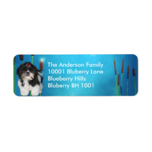 Etikett Returadress Shih Tzu & Blommor