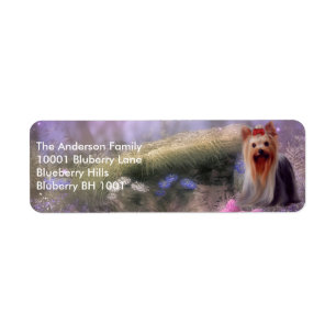 Etikett Returadress Yorkshire Terrier