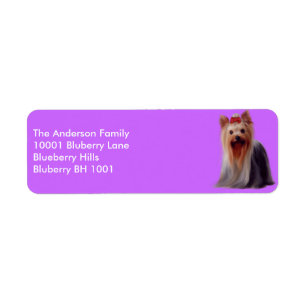 Etikett Returadress Yorkshire Terrier
