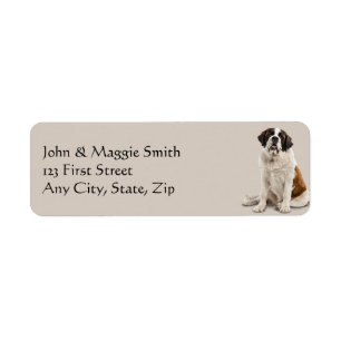 Etikett St. Bernard Hund Pet Animal Returadress Etikett