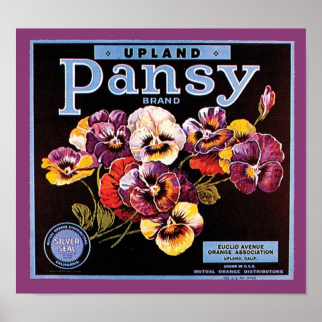 Etikett Upland Pansy Vintage Låda Poster (Framsidan)