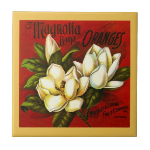 Etiketten för lådan för vintagemagnoliaen belä kakelplatta