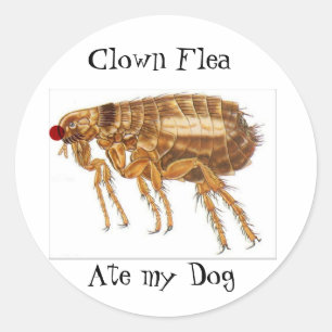 Etiketter för clown Flea
