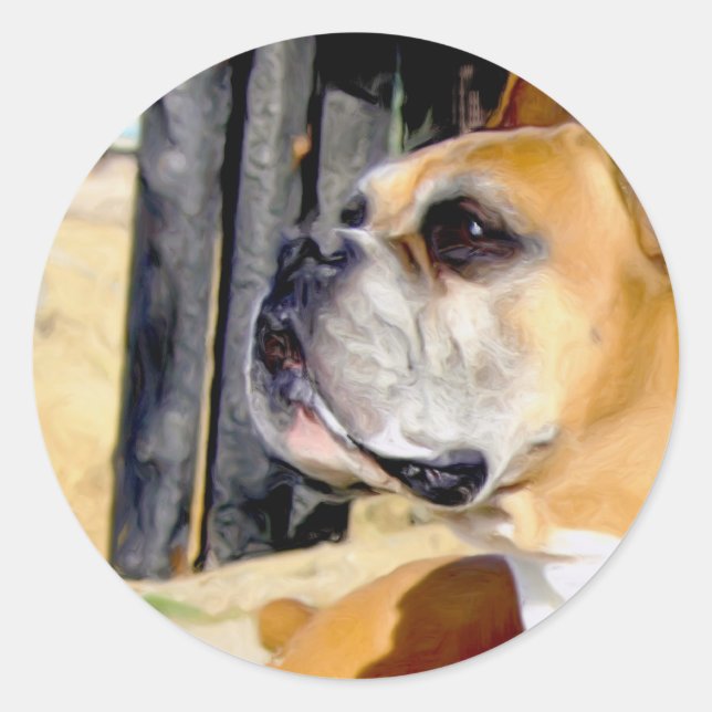 Etiketter för Hund av självhäftande boxare (Framsida)