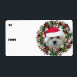 Etiketter för julkrans Havanese Gift Fraktsedel<br><div class="desc">Denna berömvärda vita Havanna ligger sitta i en lätt dekorerad och upplyst andedräkt. Anpassade text om du vill lägga till information eller använda som presentetiketter och lägga till i/från information. Vi har matchande frimärke,  kort och returetiketter också!</div>