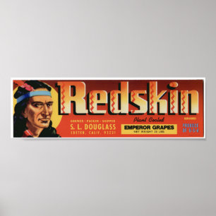 Etiketter för låda för frukt för gammal Redskin Poster