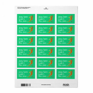 Etiketter för namn skolguödla bok adressetikett