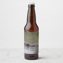 Etiketter för sköldpadda Flaska