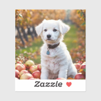 Etiketter och etiketter