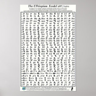 Etiopian Fidel Feedel Alphabet Amharic Poster