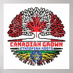 Etiopien Etiopien Canadian Canada Träd Roots Flagg Poster