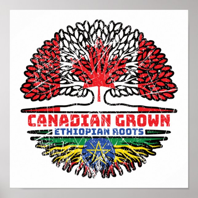 Etiopien Etiopien Canadian Canada Träd Roots Flagg Poster (Framsidan)