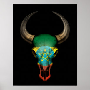 Etiopisk flaggatjurskalle på svart poster