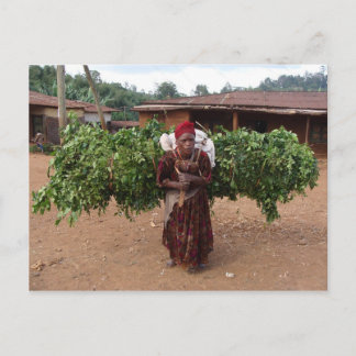 Etiopisk kvinna 5 vykort