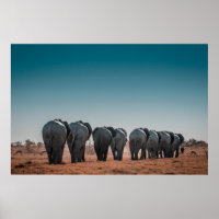 ETOSHA NATIONAL PARK