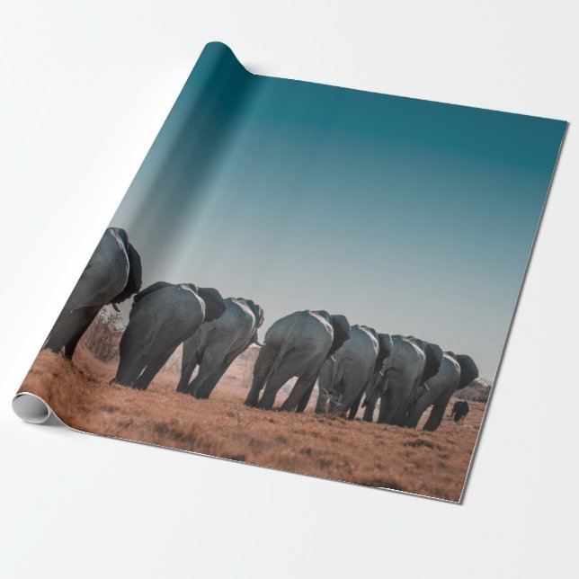 ETOSHA NATIONAL PARK PRESENTPAPPER (Utrullad)