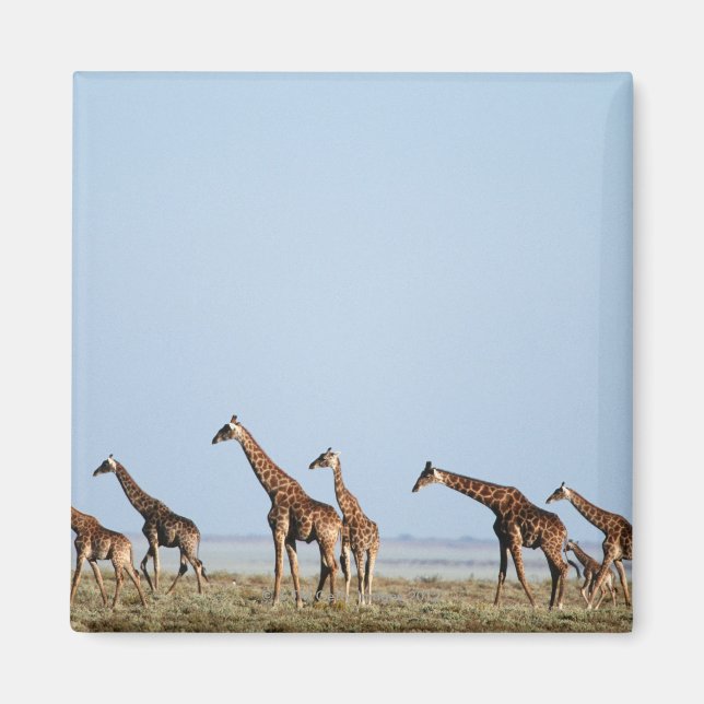 Etosha nationalpark, Namibia 2 Magnet (Framsidan)