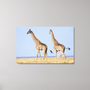 Etosha nationalpark, Namibia Canvastryck