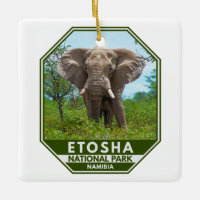 Etosha nationalpark Namibia Elephant Watercolor