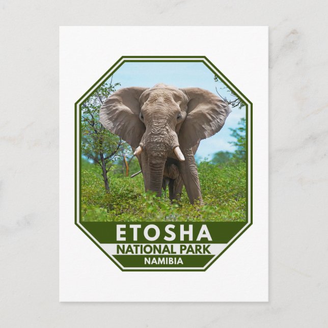 Etosha nationalpark Namibia Elephant Watercolor Vykort (Framsida)
