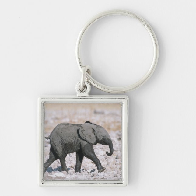Etosha nationalpark, Namibia Fyrkantig Silverfärgad Nyckelring (Framsidan)