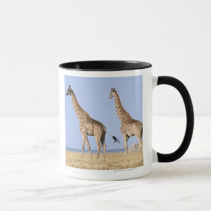 Etosha nationalpark, Namibia Mugg