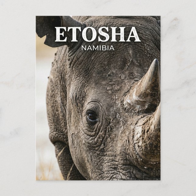 Etosha nationalpark Namibia Vykort (Framsida)