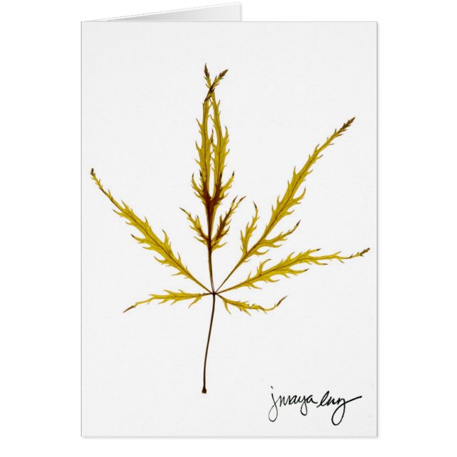 "Etsat löv" vid J. Maya Luz Hälsningskort (Framsidan)