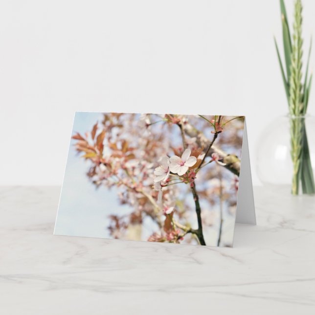 Ett 7 x 5' tomt gratulationskort helgkort (Framsida)