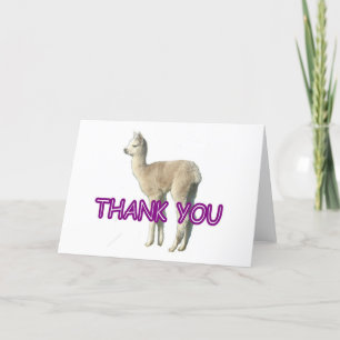 Ett alpaca "Tack"-kort Tack Kort