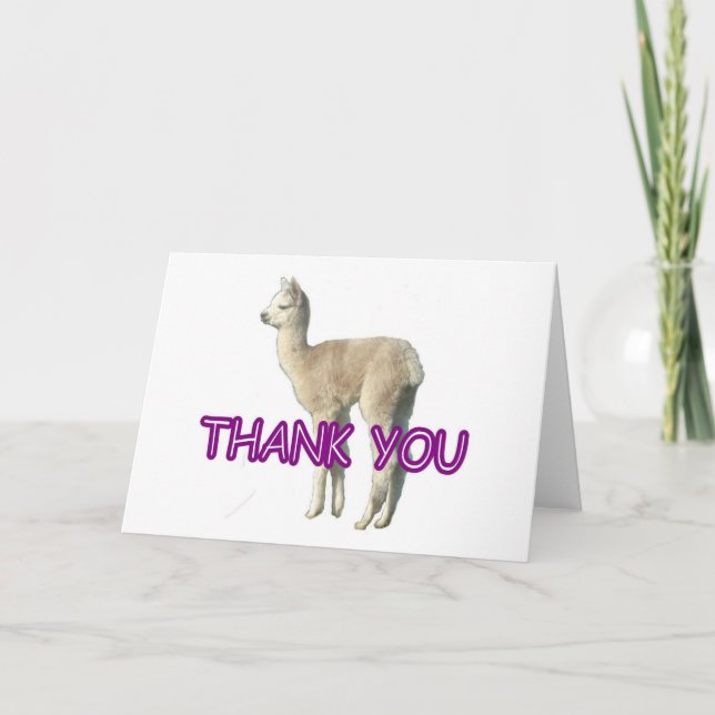 Ett alpaca "Tack"-kort Tack Kort (Framsida)