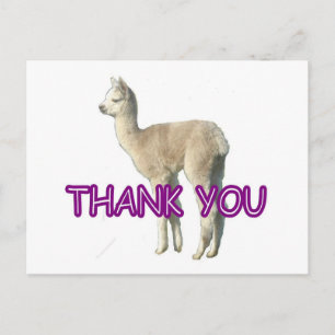 Ett alpaca "Tack"-kort Vykort