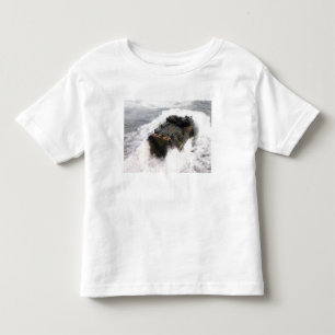 Ett amphibious anfallfordon 2 tee
