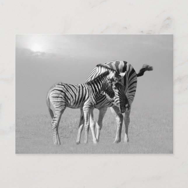 Ett anbudsförfarande mellan mamma och baby vykort (Framsida)