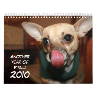 Ett annat år av Piruli - 2010 Kalender
