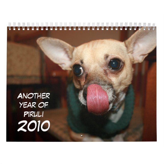 Ett annat år av Piruli - 2010 Kalender (Omslag)