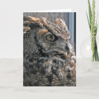 Ett annat år klokare kort