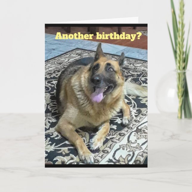 Ett annat tyska shepherd Greeting Card Kort (Framsida)