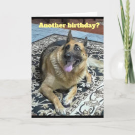 Ett annat tyska shepherd Greeting Card Kort