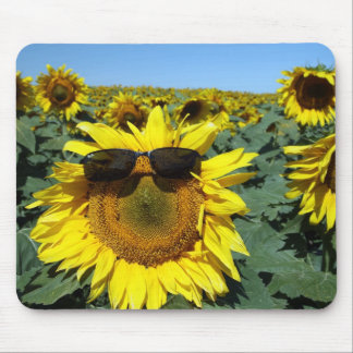 Ett ansikte i folkmassan musmatta