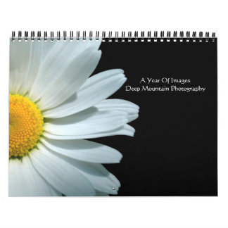 Ett år av bilder kalender