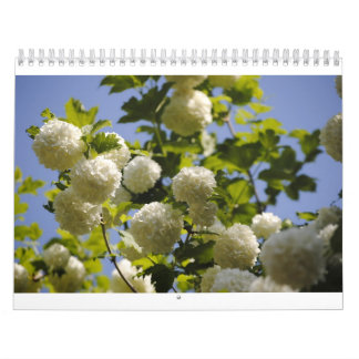 ett år av blommor kalender