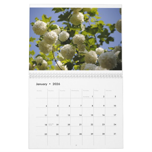 ett år av blommor kalender (Jan 2026)