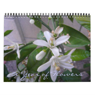Ett år av blommor kalender