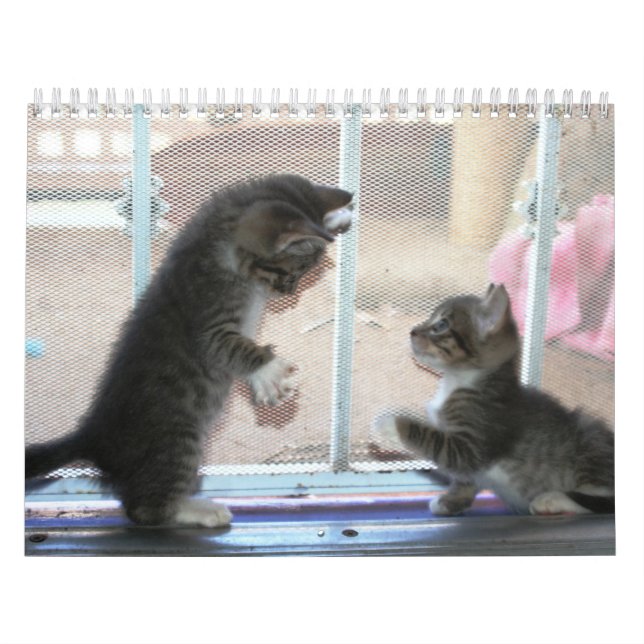 Ett år av fuzzybutts kalender (Omslag)
