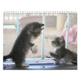 Ett år av fuzzybutts kalender