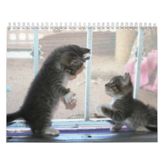 Ett år av fuzzybutts kalender