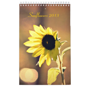 Ett år av kalendern för solrosor 2013 kalender