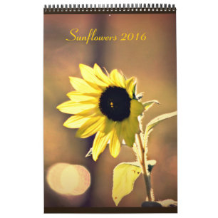 Ett år av kalendern för solrosor 2016 kalender